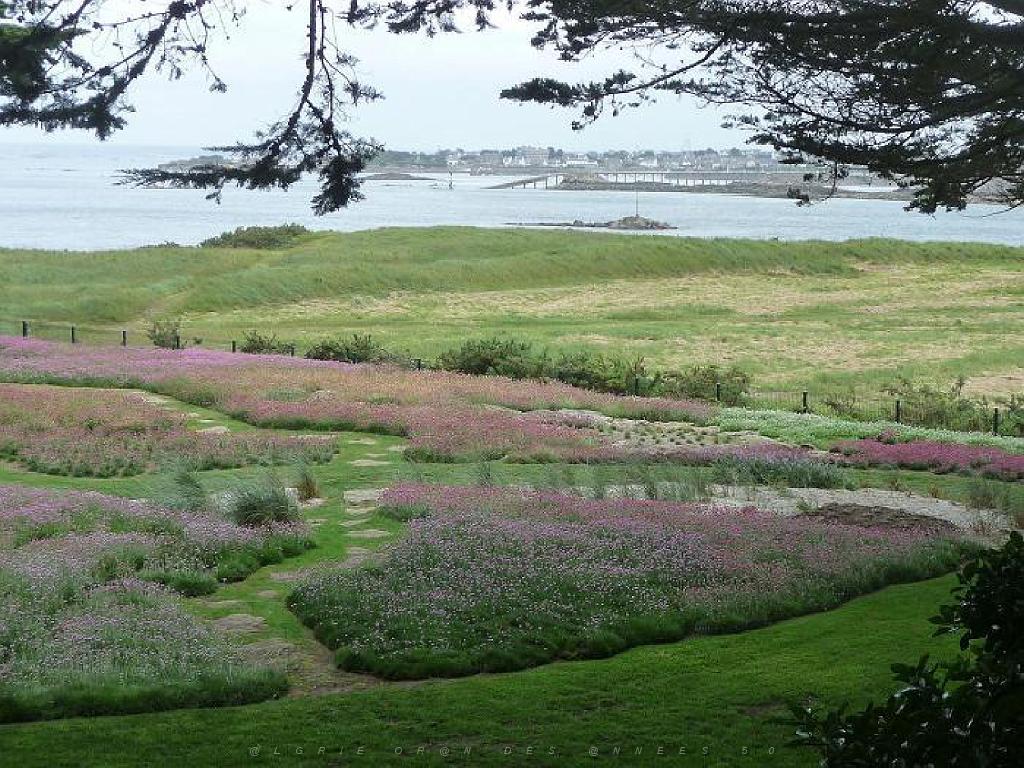 130 Ile de Batz Jardin Georges Delaselle_000011.jpg